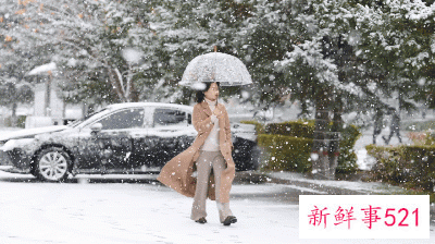 人这一辈子，一定要去一趟塔河！