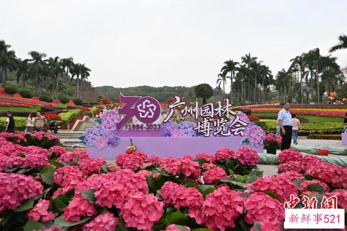 云台花园展出的花境 陈楚红 摄