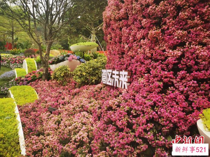 位于广州越秀公园东北门的“湾区未来”花境 程景伟 摄