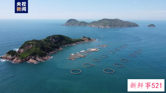 大海深处建粮仓 看广东发展海洋经济的“减法”“加法”“乘法”