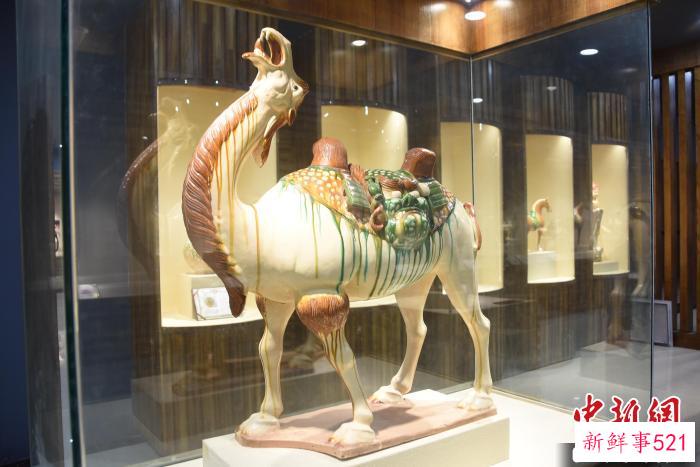 图为高水旺创作的唐三彩骆驼。　王宇 摄