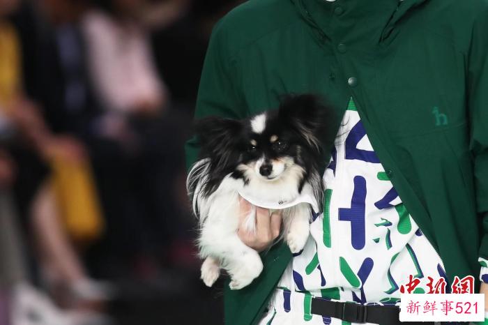 HAZZYS担纲本季上海时装周开幕首秀。　张亨伟 摄