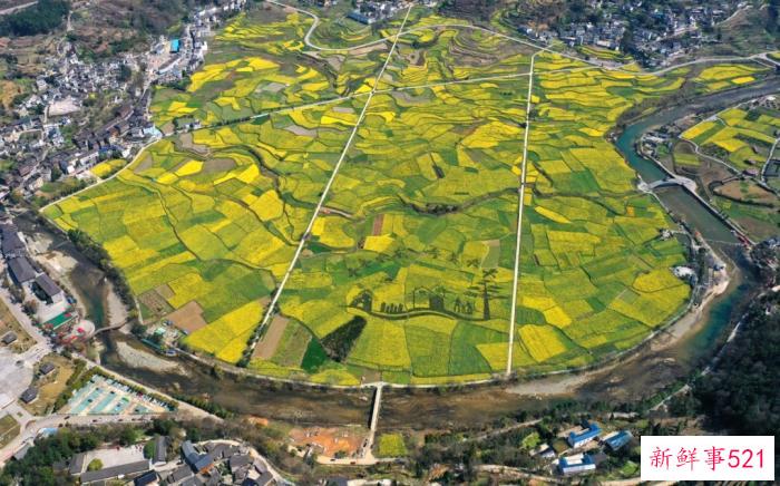 多彩贵州·花漾中国 - 藏在贵州的多彩春天