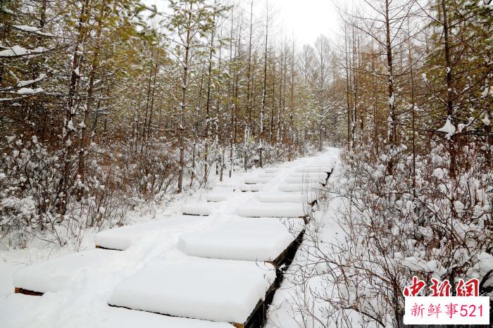 “中国最冷小镇”宛若童话世界。　冯宏伟 摄
