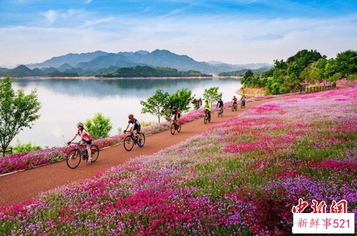 骑行爱好者沿着环湖绿道骑行。　淳安县委宣传部供图