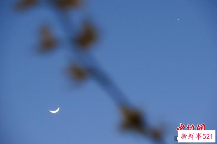 “月掩金星”24日上演，如何观测？