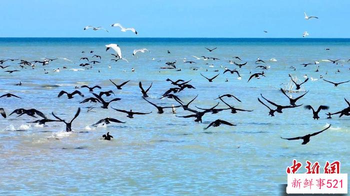 春水汩汩，碧波微微，振鹭于飞，凫跃鸿渐。　米尔扎提 摄