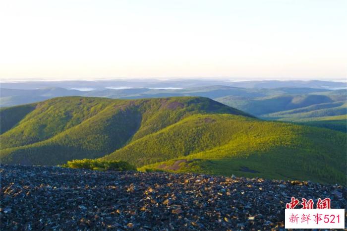 人这一辈子，一定要去一趟塔河！