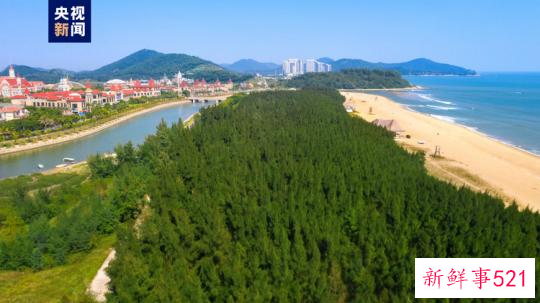 大海深处建粮仓 看广东发展海洋经济的“减法”“加法”“乘法”