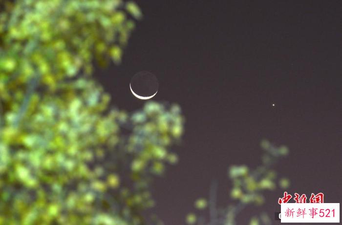 “月掩金星”24日上演，如何观测？