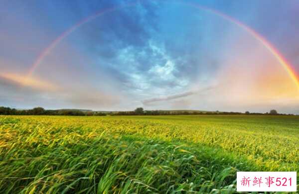 彩虹有什么象征意义？关于彩虹十大有趣知识