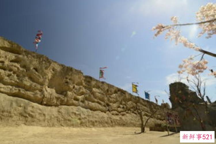 西南研究丛书，西夏公主