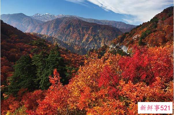 日本三座灵山-富士山第一 骊山富含硫磺(白山是火山)