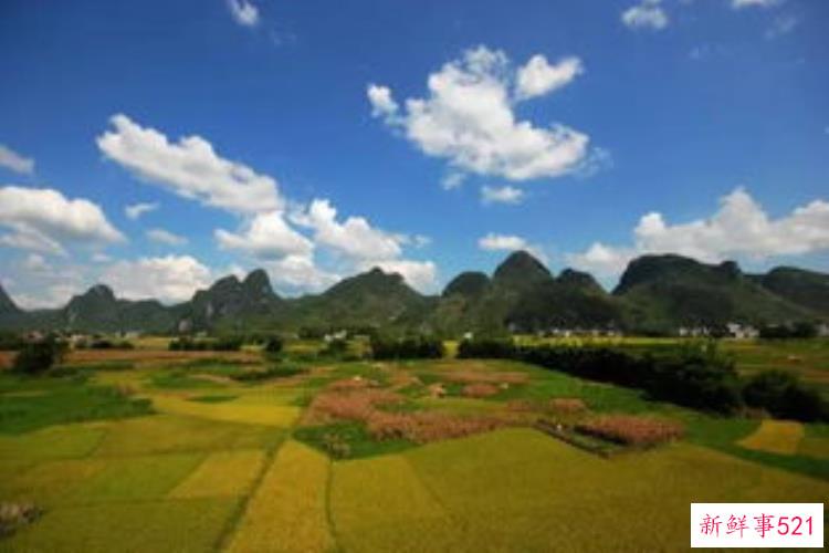 岭南文化的起源「重磅|岭南文化源头在哪专家破译广东史前考古地图」