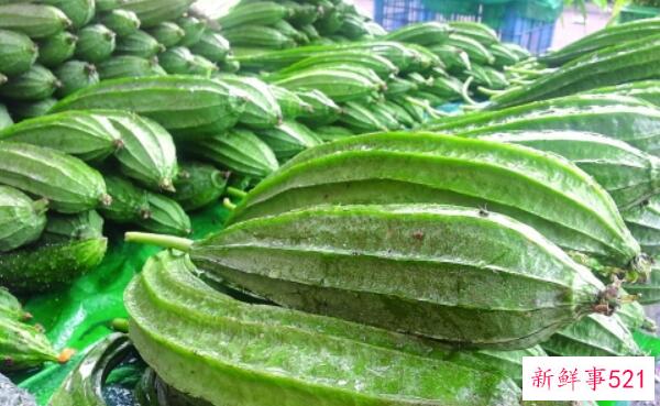 八角瓜的禁忌男女老少都可以吃(只要不吃太多)