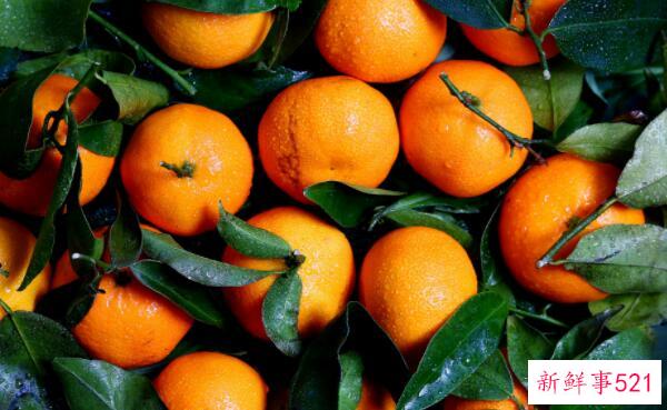 橘子上火或降火吃多了会引起口腔溃疡(最好一天只吃3个橘子)
