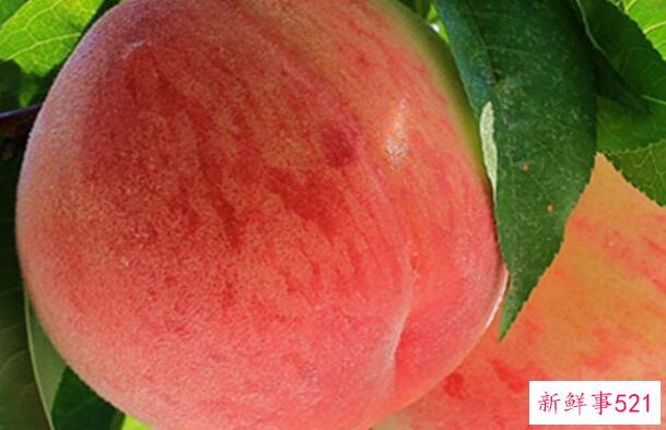 如何剥桃子？削桃子就是这么简单