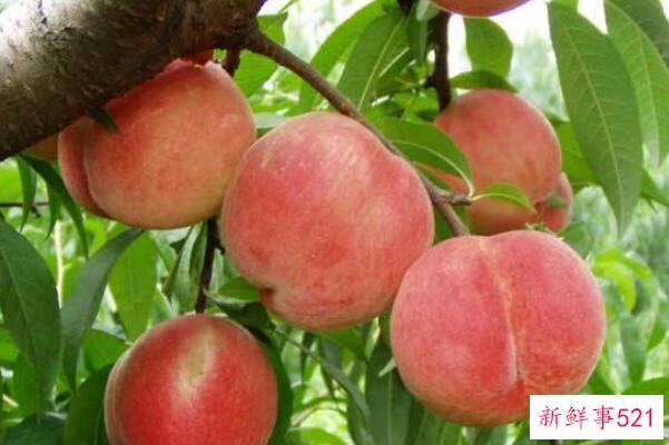 如何剥桃子？削桃子就是这么简单