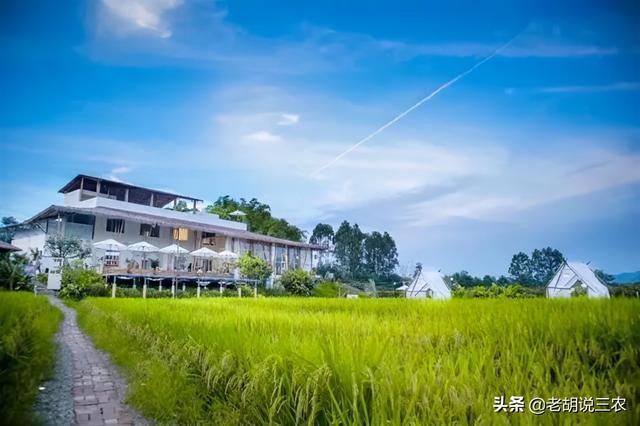 颜值时代，能够火的不单单只有美女，农场靠颜值也能火