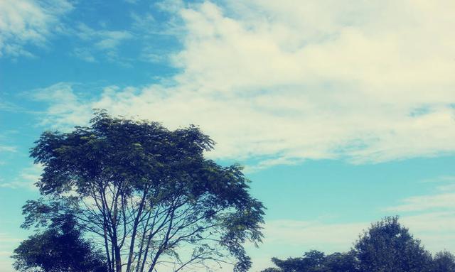 最适合女生的5个高薪专业，就业前景光明，毕业好找工作