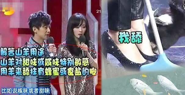 杨幂的脚到底有多臭？！