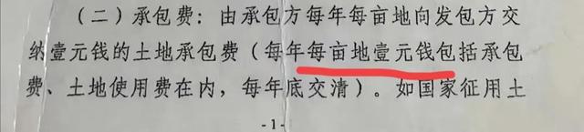 惊悚！深挖“跪地求水”真实原因，竟牵出惊人内幕，网友水太深