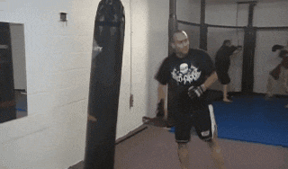 超级搞笑gif动图美女动物笑图10张