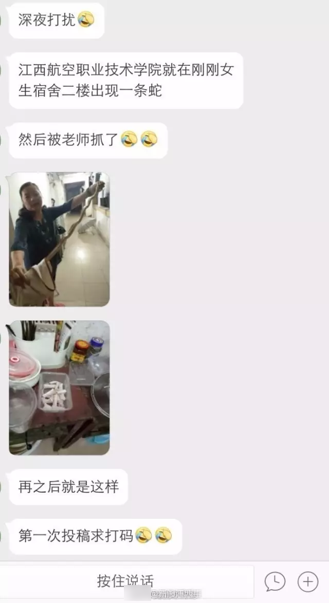 大蛇夜闯女生宿舍 女老师徒手擒蛇做成夜宵