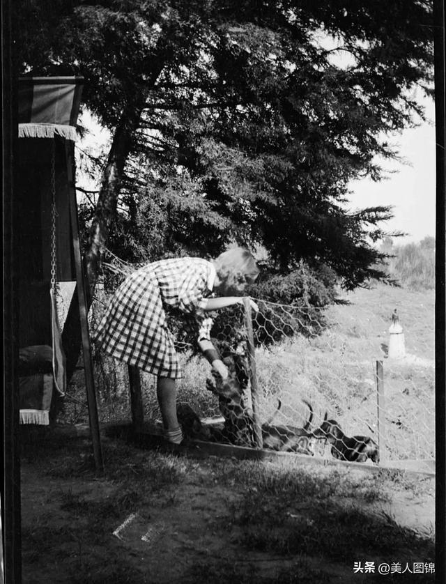 性感女神～好莱坞美女玛丽莲.梦露(上)