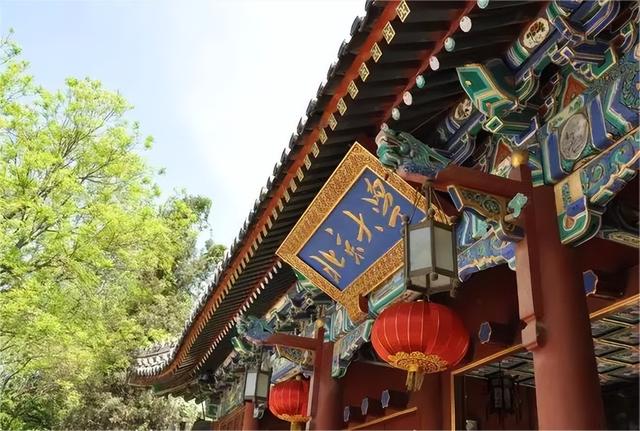 女研究生带母上学，最终宿舍自缢身亡：没有人愿意被脐带栓一辈子