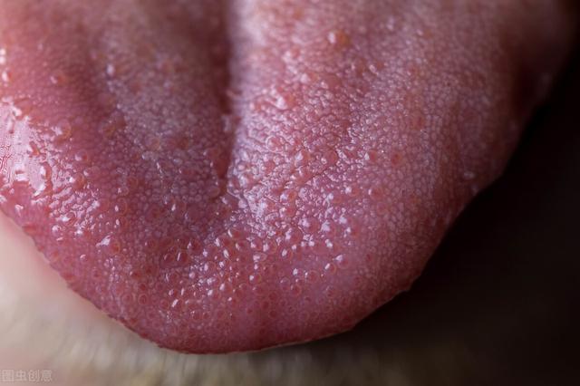 身体湿气重痰多，就容易长结节，一味中成药，健脾化痰就选它