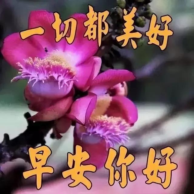 早安图文分享：微笑一下给自己加油打气