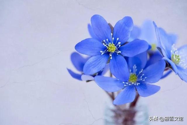 女性成长｜适合社恐女孩的10大副业，建议收藏