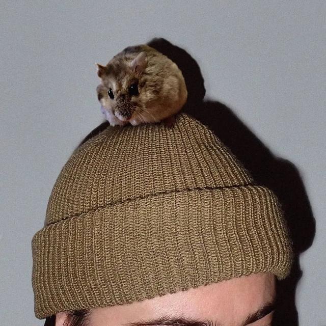 有点诱惑！外国美女设计师拍的“人体”艺术，够大胆，脑洞大开