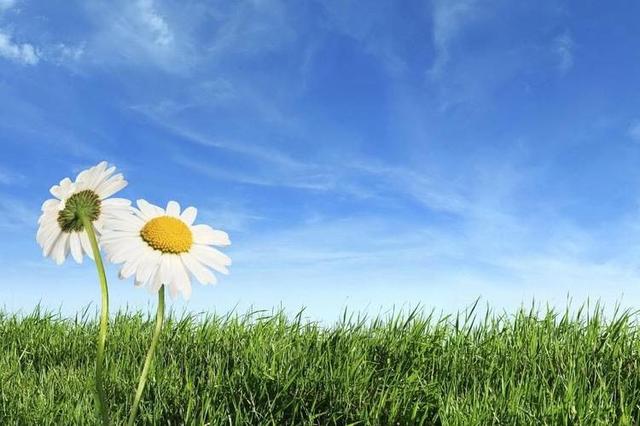 判断一个女人是否爱干净，看她家里这3个地方就够了，藏不住的