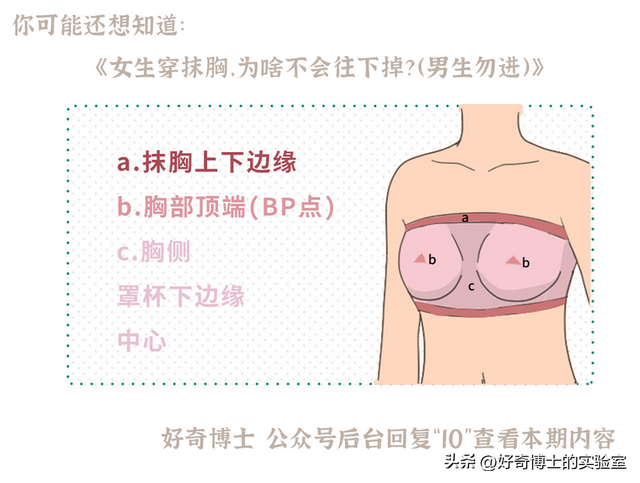 女生的胸，为什么忽软忽硬？（男生禁入）