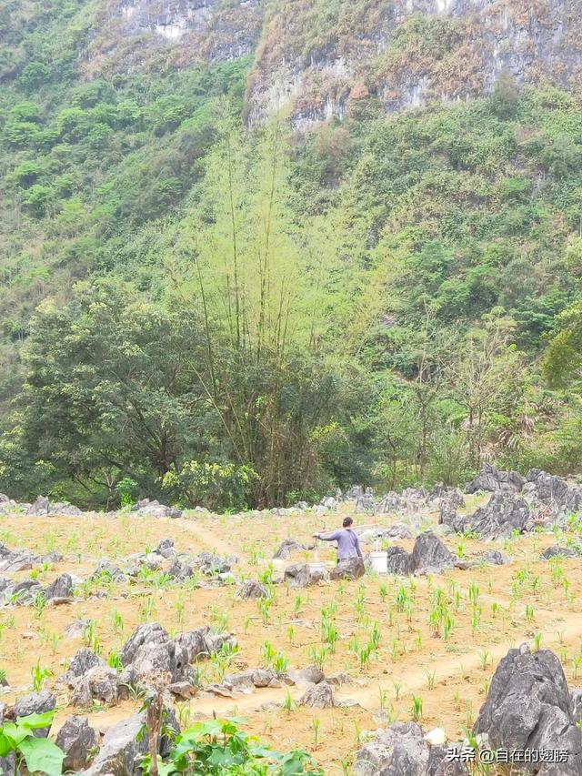 一个50岁的女人