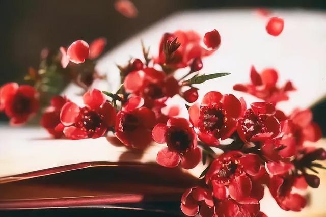 有这两个能力的女人，多半是富贵命，有钱又有爱