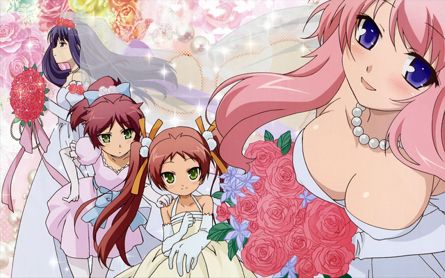 动漫十大“胸”猛美少女（四）姬路瑞希《笨蛋、测验、召唤兽》