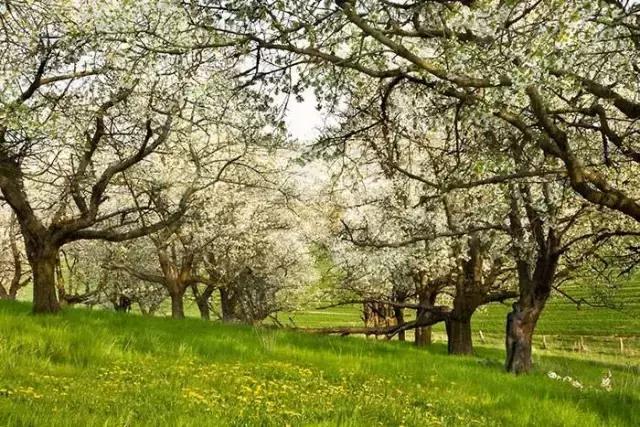 找出隐藏的少女,听说找到15个以上就是高智商!敢不敢试试?