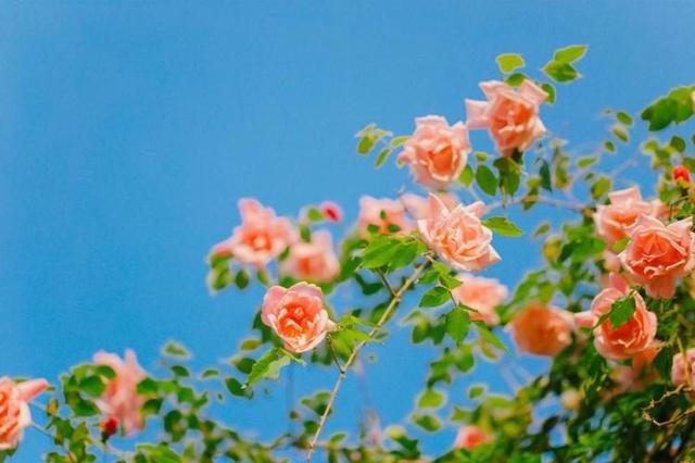 判断一个女人是否爱干净，看她家里这3个地方就够了，藏不住的