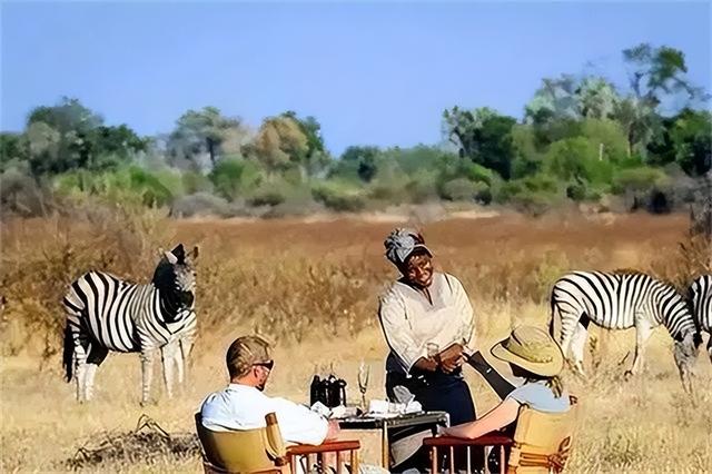 非洲女孩巴特曼因有巨臀,一生被赤身裸体展览,死后还被做成标本