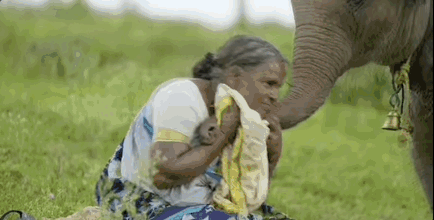 华人之光！全网刷屏的奥斯卡影后，但我只能为杨紫琼高兴5分钟