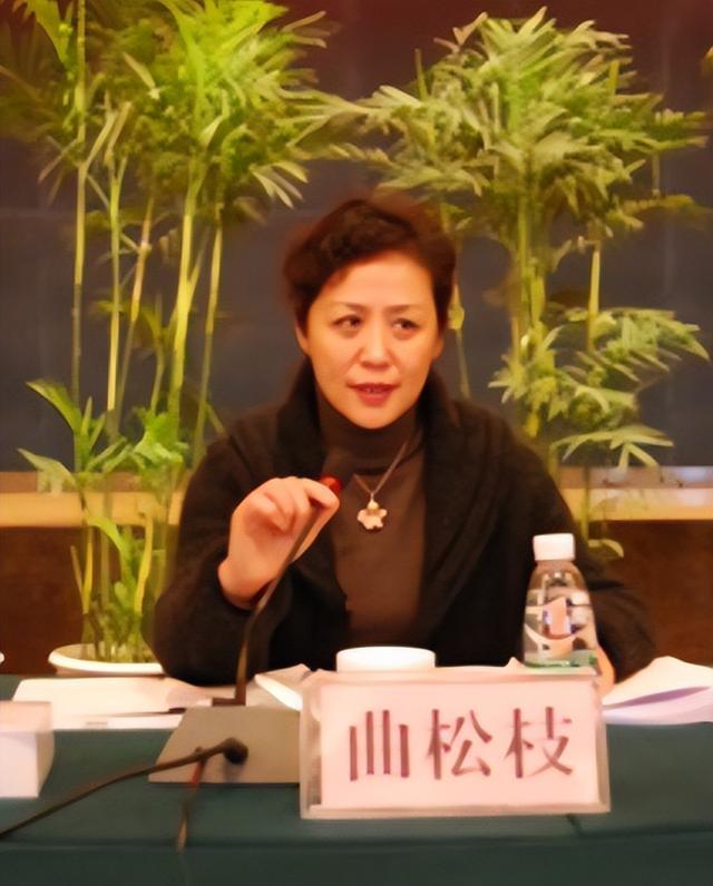 成都美女书记落马，丈夫是高官，一同敛财2800万，最终都入狱