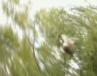 又惹争议了，嘴含戒指接吻，国产剧的吻戏开始了一场“病态传承”