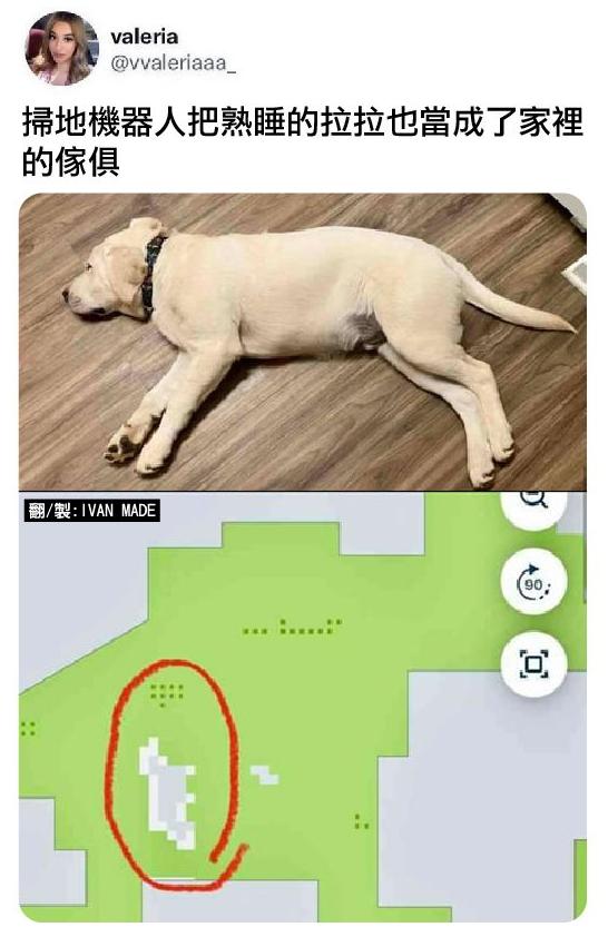 每日搞笑：男生也可以鸭子坐吗？