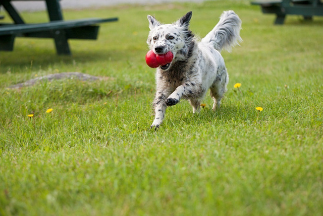 98年美国女子在家赤裸身亡，留下180处伤口，一张照片成破案关键