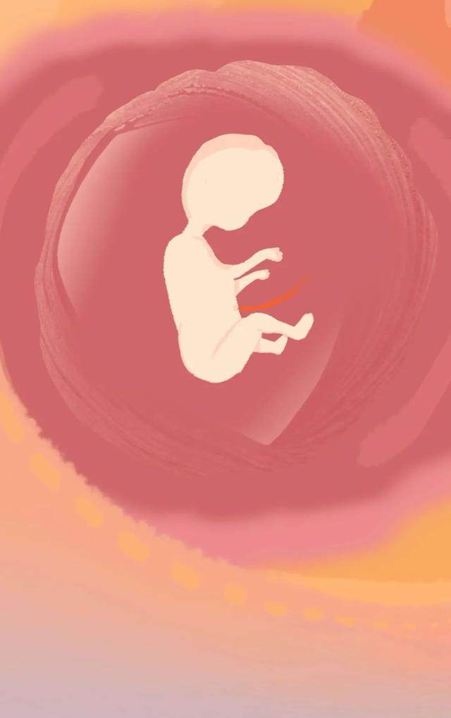 女人是如何怀孕的？全过程图曝光！