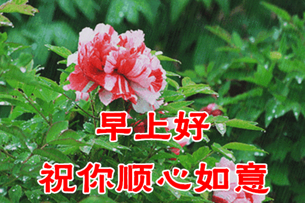 早安图文分享：微笑一下给自己加油打气