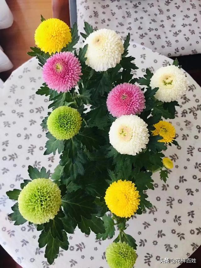 48岁开始跑步，从生活不能自理到马拉松女神，10年她的改变太惊人